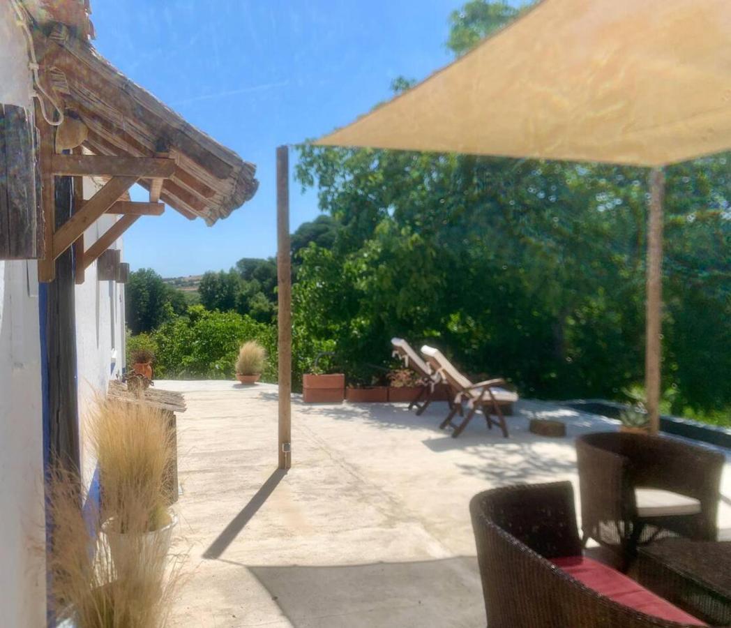 Casa Amador Charming 2 Bedrooms House In Alcacer Alcácer do Sal المظهر الخارجي الصورة